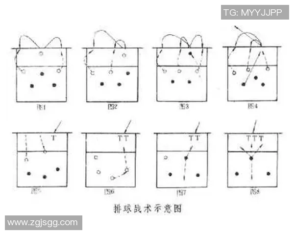 西安排球队的排球战术解析与转换体系的深度剖析